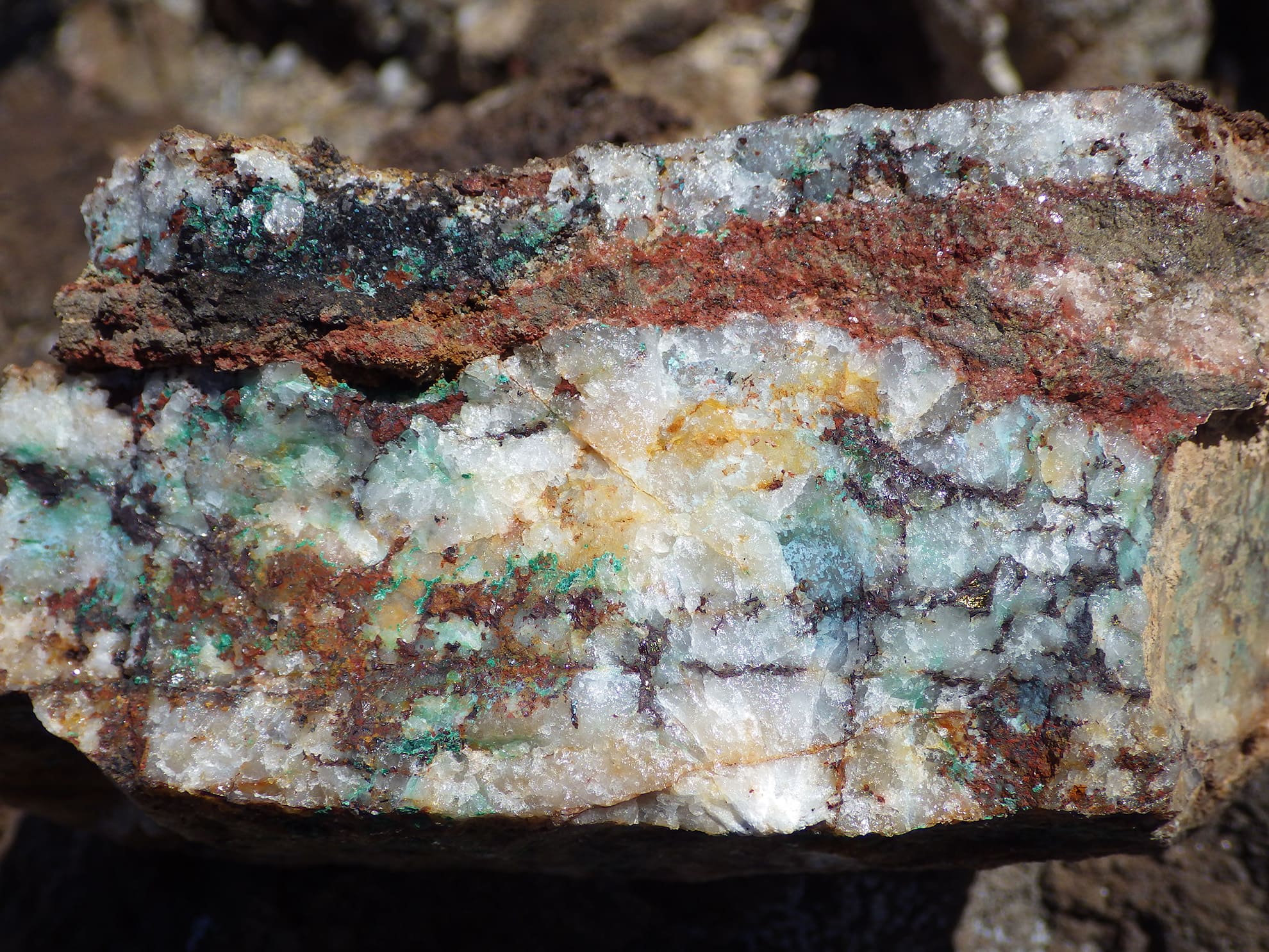 Quartz vein with garnet and chalcopyrite (copper sulfide), and glassy limonite replacing chalcopyrite, East Zone